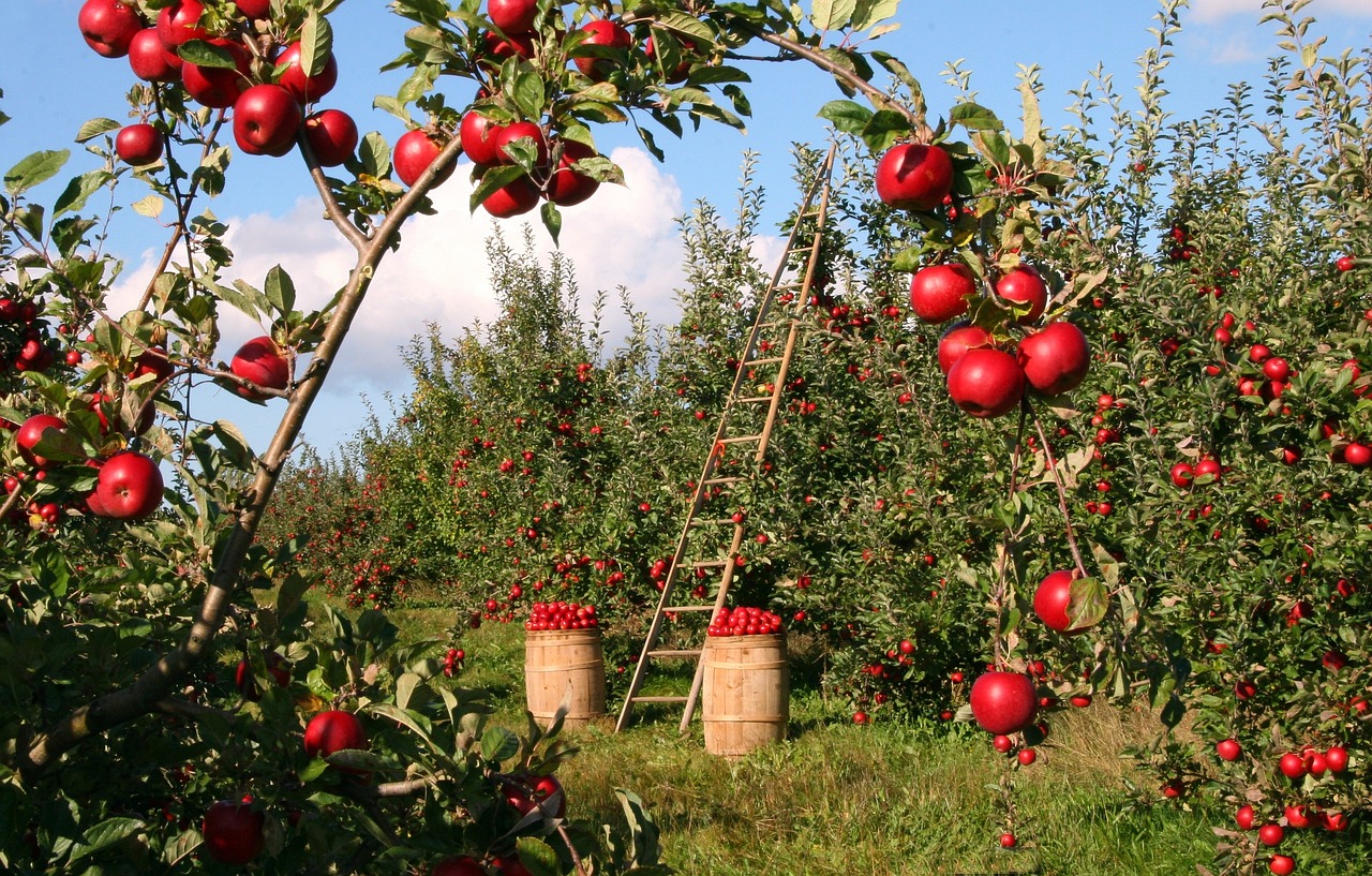 AI in agriculture